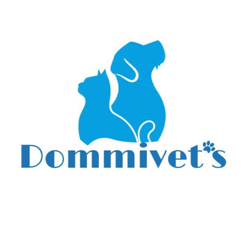 dommivets