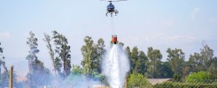 MUNICIPALIDAD DE LAMPA MANTIENE RECURSOS DESPLEGADOS PARA COMBATE DE INCENDIO FORESTAL CON AMENZA A VIVIENDAS EN CAMINO LO ECHEVERS CON NOVICIADO