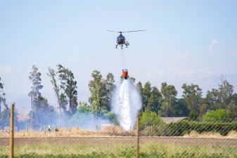 MUNICIPALIDAD DE LAMPA MANTIENE RECURSOS DESPLEGADOS PARA COMBATE DE INCENDIO FORESTAL CON AMENZA A VIVIENDAS EN CAMINO LO ECHEVERS CON NOVICIADO